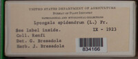 Image Associated With the Occurence